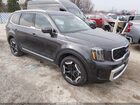 2025 Kia Telluride Ex Black vin: 5XYP3DGC9SG632294