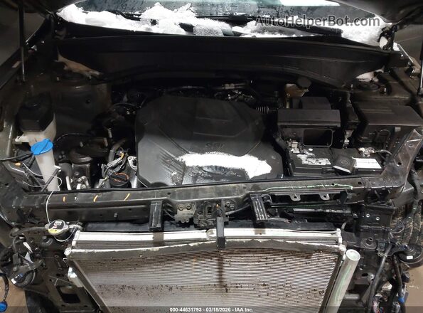 5XYP3DHC7LG039954 2020 KIA TELLURIDE Champagne Вид сзади