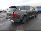 2020 Kia Telluride Sx Green vin: 5XYP54HC8LG010912
