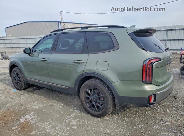 5XYP5DGCXPG403074 2023 KIA TELLURIDE Зеленый Задняя левая четверть
