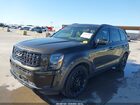 2022 Kia Telluride Sx Коричневый vin: 5XYP5DHC2NG209411