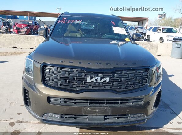 5XYP5DHC2NG209411 2022 KIA TELLURIDE Коричневый Вид задней части салона