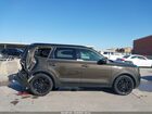 2022 Kia Telluride Sx Коричневый vin: 5XYP5DHC2NG209411