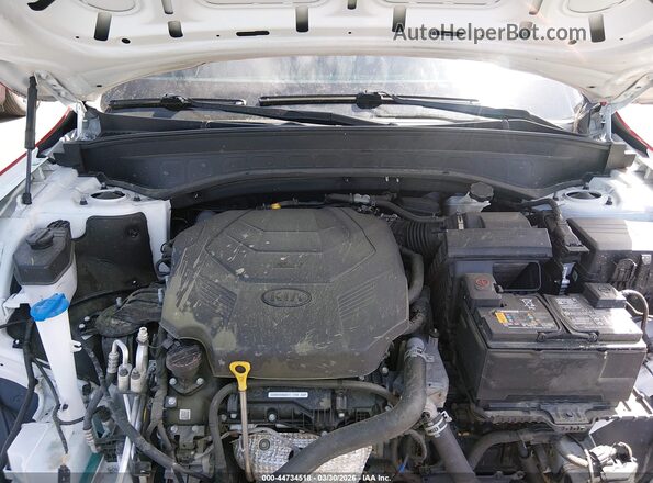 5XYP5DHC4MG193176 2021 KIA TELLURIDE Красный Вид сзади