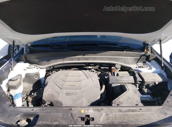 5XYP5DHC6LG046971 2020 KIA TELLURIDE Белый Вид сзади