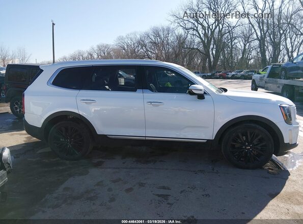 5XYP5DHC6LG046971 2020 KIA TELLURIDE Белый Вид задней части салона
