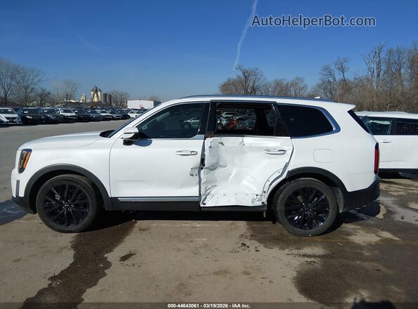 5XYP5DHC6LG046971 2020 KIA TELLURIDE Белый Панорамный вид салона 360°