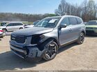 2025 Kia Telluride S Синий vin: 5XYP64GC7SG646153
