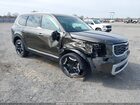 2025 Kia Telluride S Green vin: 5XYP6DGC2SG710678