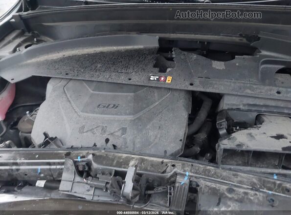 5XYP6DGC6PG374881 2023 KIA TELLURIDE Зеленый Вид сзади