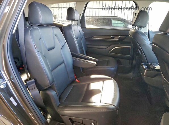 5XYP6DGC6SG581182 2025 KIA TELLURIDE Коричневый Вид задней части салона