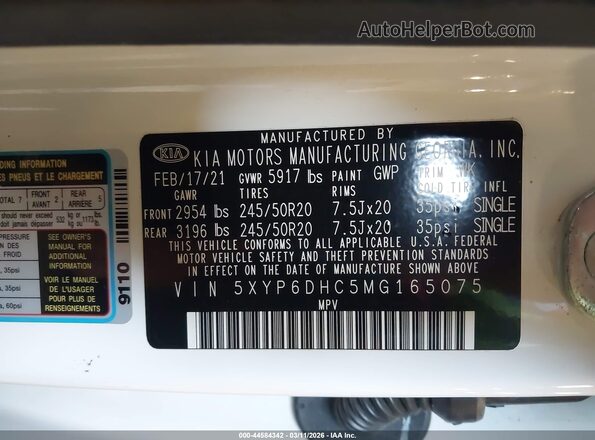 5XYP6DHC5MG165075 2021 KIA TELLURIDE Белый Вид подкапотного пространства