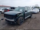 2027 Kia Telluride X-line Sx Green vin: 5XYPDES15VG003306