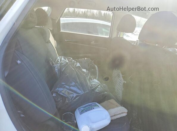 5XYPGDA35LG614342 2020 KIA SORENTO Белый Вид задней части салона
