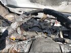 2016 Kia Sorento 3.3l Ex Black vin: 5XYPHDA56GG159134