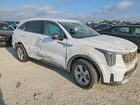 2025 Kia Sorento Lx White vin: 5XYRG4JC1SG309461