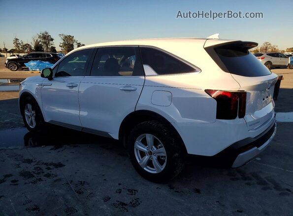 5XYRG4JC4TG420829 2026 KIA SORENTO Белый Задняя левая четверть