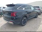 2024 Kia Sorento S Black vin: 5XYRL4JC3RG283600