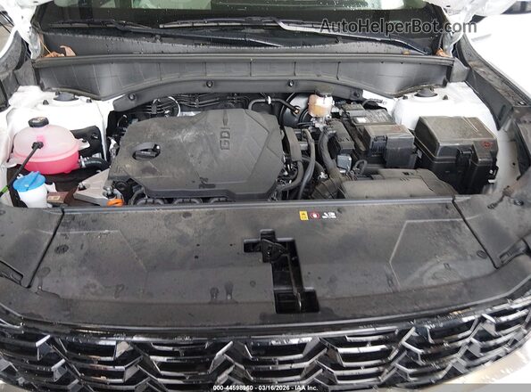 5XYRL4JC8RG293149 2024 KIA SORENTO White Vista trasera