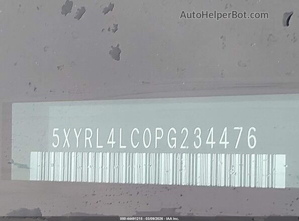 5XYRL4LC0PG234476 2023 KIA SORENTO Белый 
