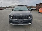 2024 Kia Sorento S Black vin: 5XYRLDJC1RG287600