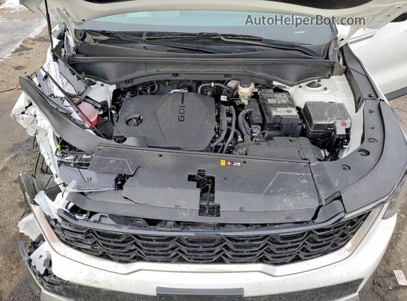 5XYRLDJC1TG429080 2026 KIA SORENTO Белый Вид задней части салона