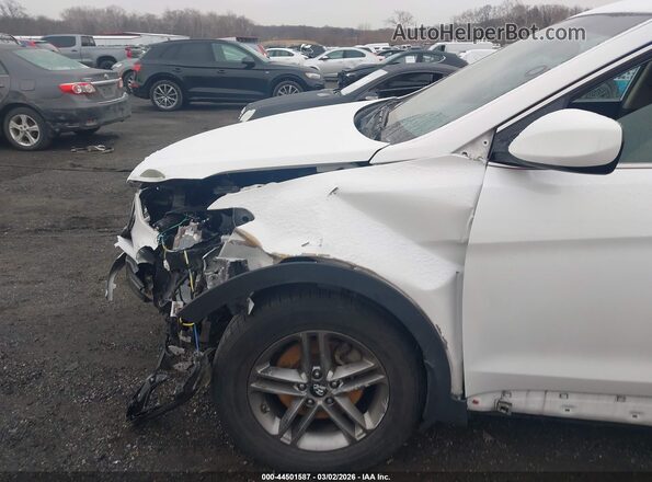 5XYZT3LB0JG542028 2018 HYUNDAI SANTA FE SPORT Белый Вид спереди