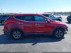 2016 Hyundai Santa Fe Sport 2.4l Красный vin: 5XYZT3LB8GG336271