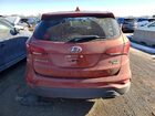2017 Hyundai Santa Fe Sport 2.4l Оранжевый vin: 5XYZTDLB4HG414620