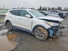 2016 Hyundai Santa Fe Sport 2.4l Белый vin: 5XYZUDLB1GG353321