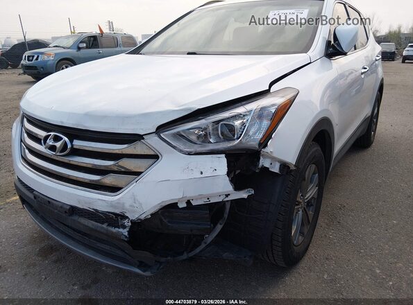 5XYZUDLBXGG362910 2016 HYUNDAI SANTA FE SPORT Белый Вид спереди
