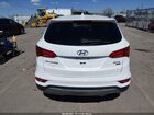 2017 Hyundai Santa Fe Sport 2.4l Белый vin: 5XYZUDLBXHG400752