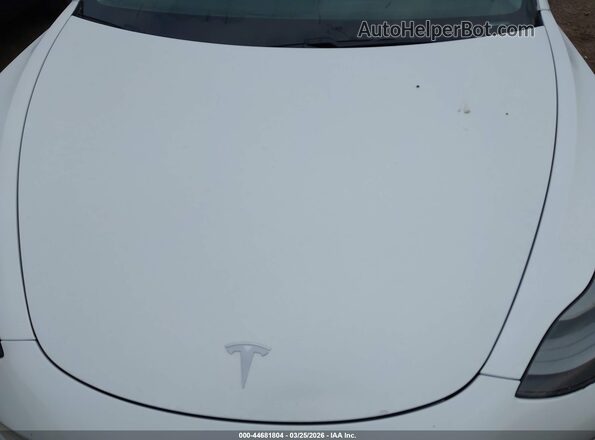 5YJ3E1EA8MF063795 2021 TESLA MODEL 3 Белый Вид сзади