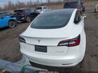 2020 Tesla Model 3 Long Range Dual Motor All-wheel Drive Белый vin: 5YJ3E1EB7LF665434