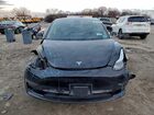 2019 Tesla Model 3 Черный vin: 5YJ3E1EB8KF384788