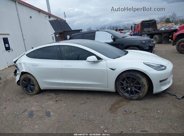 5YJ3E1EB9LF665676 2020 TESLA MODEL 3 White Widok wnętrza z tyłu