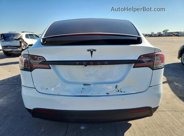 5YJXCBE25LF239058 2020 TESLA MODEL Белый Вид сзади