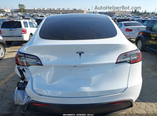 5YJYGDEE7LF013781 2020 TESLA MODEL Y White 