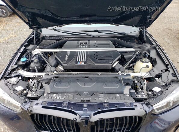 5YM13EC02P9R88125 2023 BMW X3 Black Vista interior trasera