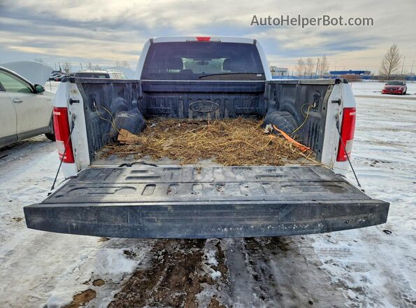 1FTFW1EG0HKD98816 2017 FORD F150 Белый Вид сзади