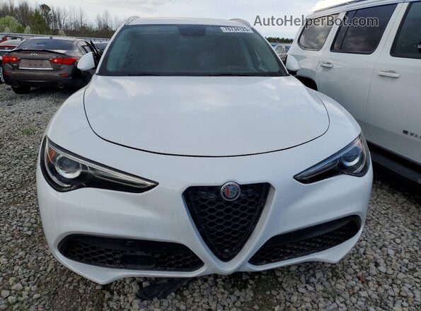 ZASPAJAN3K7C71311 2019 ALFA ROMEO STELVIO Белый Вид сзади