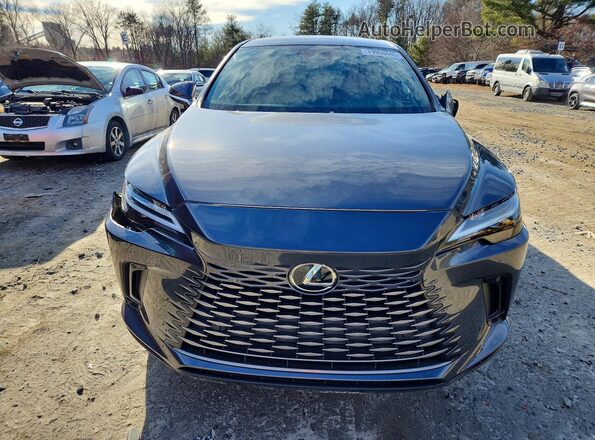 2T2BAMBA1SC056150 2025 LEXUS RX Gray უკანა ხედი