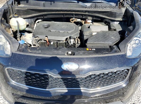 KNDPM3AC5K7626344 2019 KIA SPORTAGE Black VIN կոդի պիտակի տեսք