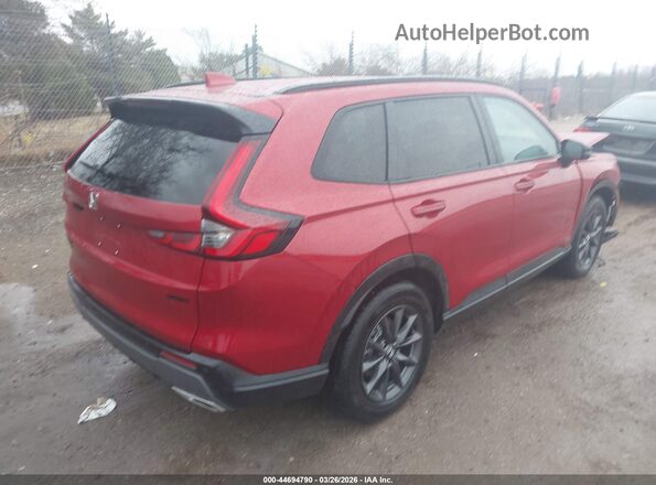 7FARS6H83TE062808 2026 HONDA CR-V HYBRID Red Tył prawy