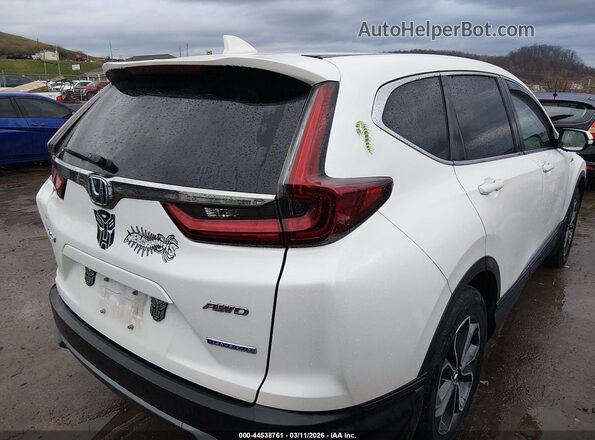 7FART6H87ME012203 2021 HONDA CR-V HYBRID Белый Задняя правая четверть