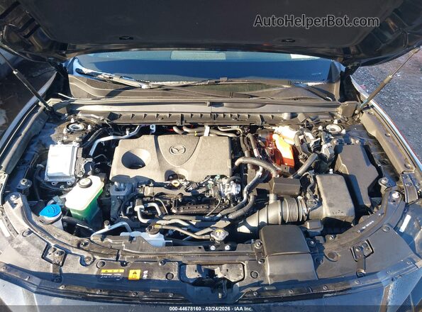 7MMVAABW8SN128339 2025 MAZDA CX-50 HYBRID Черный Вид сзади