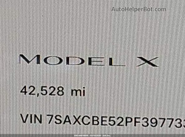 7SAXCBE52PF397733 2023 TESLA MODEL X Синий 