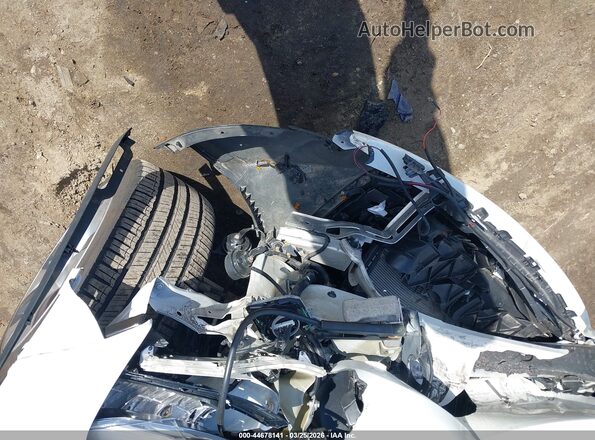 7SAYGAEE8PF589211 2023 TESLA MODEL Y White Widok z przodu