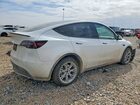 2023 Tesla Model Y White vin: 7SAYGAEE8PF589855