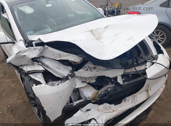 7SAYGDEE2RF152521 2024 TESLA MODEL Y White Вид спереду